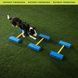 FitPaws&reg; FitKinect&trade;