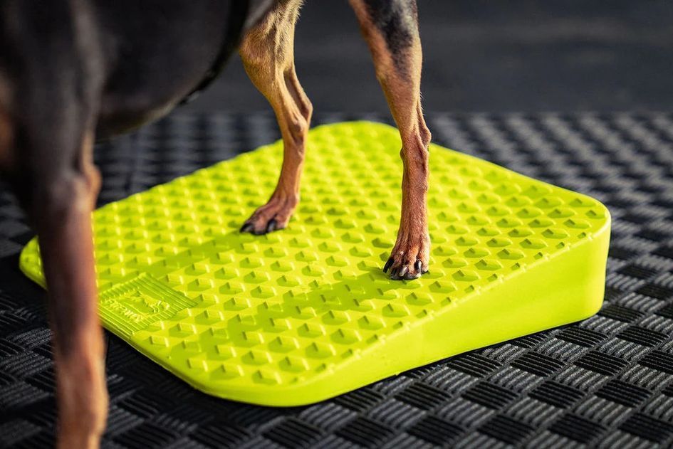 Fitpaws Inflatable Ramp Фитнес тренажер для собак FitPaws® Balance Ramp