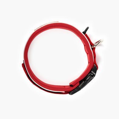 Нашийник EzyDog Neo Classic, Red, XSmall