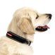 Нашийник EzyDog Neo Classic, Red, XSmall