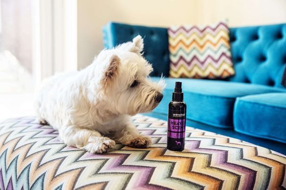 Парфумований спрей з квітковим ароматом неролі та півонії Animology&reg; Heaven Scent Body Mist 150 мл