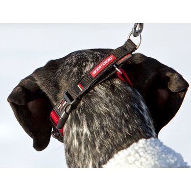 Нашийник-напівудавка EzyDog Checkmate, Blue, Medium