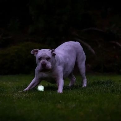 Светящийся мяч Chuckit!&reg; Air&trade; Glow Fetch, ⌀ 5 см