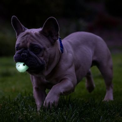 Светящийся мяч Chuckit!&reg; Air&trade; Glow Fetch, ⌀ 5 см