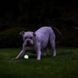 Светящийся мяч Chuckit!&reg; Air&trade; Glow Fetch, ⌀ 5 см