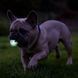 Светящийся мяч Chuckit!&reg; Air&trade; Glow Fetch, ⌀ 5 см
