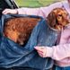 Полотенце-мешок Henry Wag Microfibre Dog Drying Bag, XSmall (под заказ)