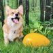 М'яч-яйце Jolly Egg&trade;, 20 см