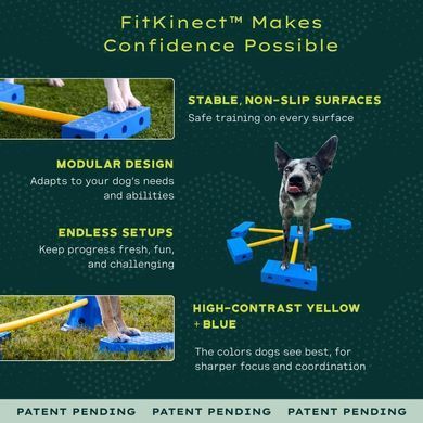 FitPaws&reg; FitKinect&trade; XTRA