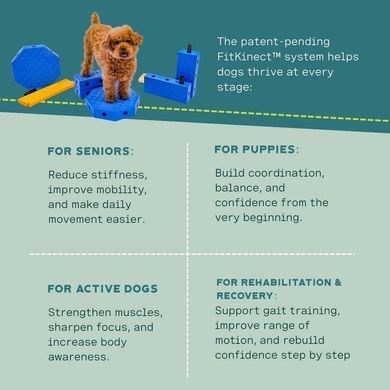 FitPaws&reg; FitKinect&trade; XTRA