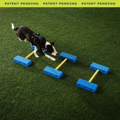 FitPaws&reg; FitKinect&trade; XTRA