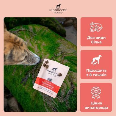 Натуральні смаколики для тренувань The Innocent Hound Training Treats 70 г, Tuna & Crab (тунець та краб)