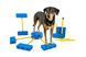 FitPaws&reg; FitKinect&trade; XTRA