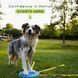 FitPaws&reg; FitKinect&trade; XTRA