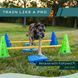 FitPaws&reg; FitKinect&trade; XTRA