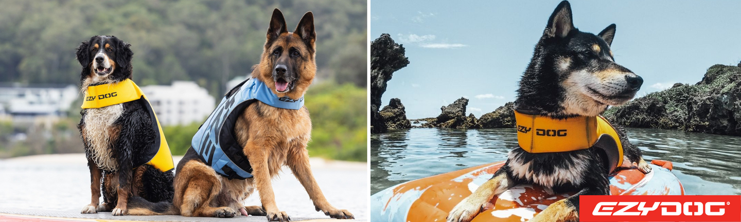 Dog Decor - Ексклюзивні зоотовари для собак 🐶