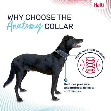 Анатомічний нашийник Halti Anatomy, Grey, Large