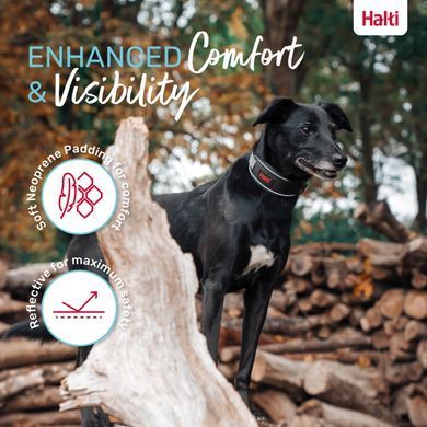 Анатомічний нашийник Halti Anatomy, Grey, Large