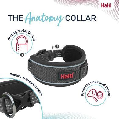Анатомічний нашийник Halti Anatomy, Grey, Large