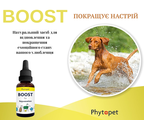 Натуральна добавка для відновлення Phytopet&reg; Boost 30 мл