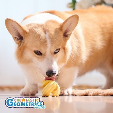 Інтерактивна іграшка-годівниця Chewtastic Geometrics Geo-Gem Gentle