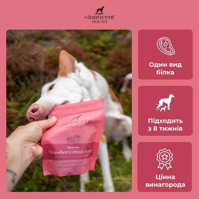 Натуральні смаколики для тренувань The Innocent Hound з яловичиною та полуницею 70 г