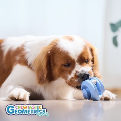 Інтерактивна іграшка-годівниця Chewtastic Geometrics Geo-Hex Gentle
