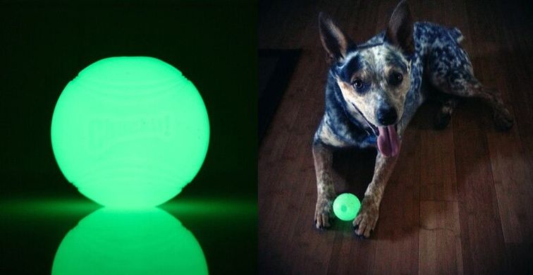 Светящийся мяч Chuckit!® Max Glow® Ball, ⌀ 6,4 см