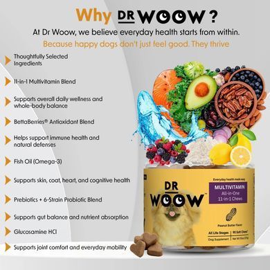 Мультивітамінний комплекс Dr Woow Multifunctional 11-in-1 Chews 90 шт.