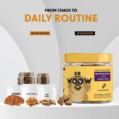 Мультивітамінний комплекс Dr Woow Multifunctional 11-in-1 Chews 90 шт.
