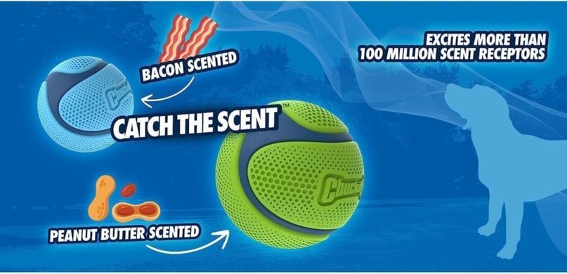 Мяч с запахом Chuckit!&reg; Sniff Fetch ⌀ 6,4 см, Peanut (арахис)