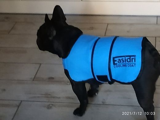 Охлаждающая попона Easidri, XSmall Wide
