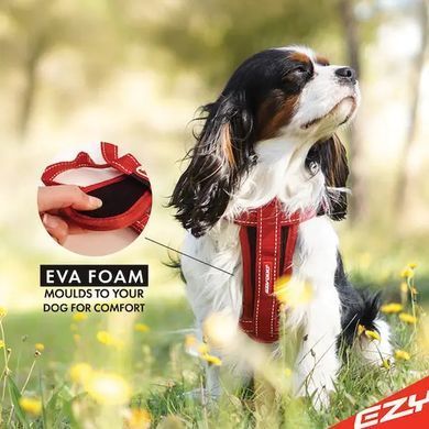 Шлея EzyDog Chest Plate, Camo, XXSmall
