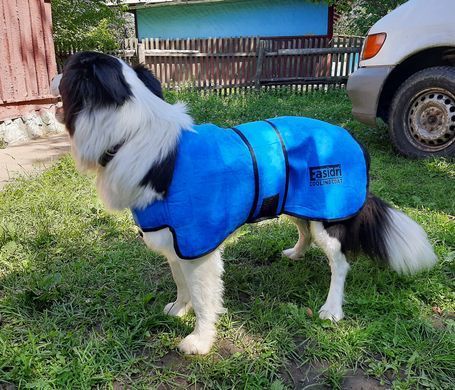 Охлаждающая попона Easidri, Medium