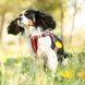 Шлея EzyDog Chest Plate, Camo, XXSmall