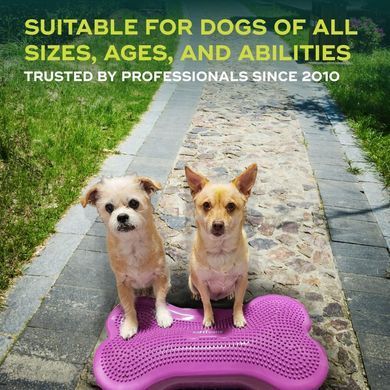 FitPaws&reg; Regular K9FITBone