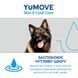 Добавка для усунення свербіжа YuMOVE Skin & Coat Care Itching, 250 мл (передзамовлення)