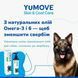 Добавка для усунення свербіжа YuMOVE Skin & Coat Care Itching, 250 мл (передзамовлення)
