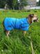Охлаждающая попона Easidri, Large